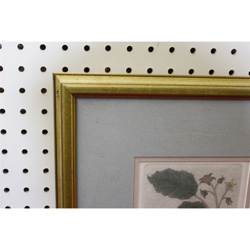 29.5 x 15.5 Framed etchings - the artfield press - Leo P Donahue