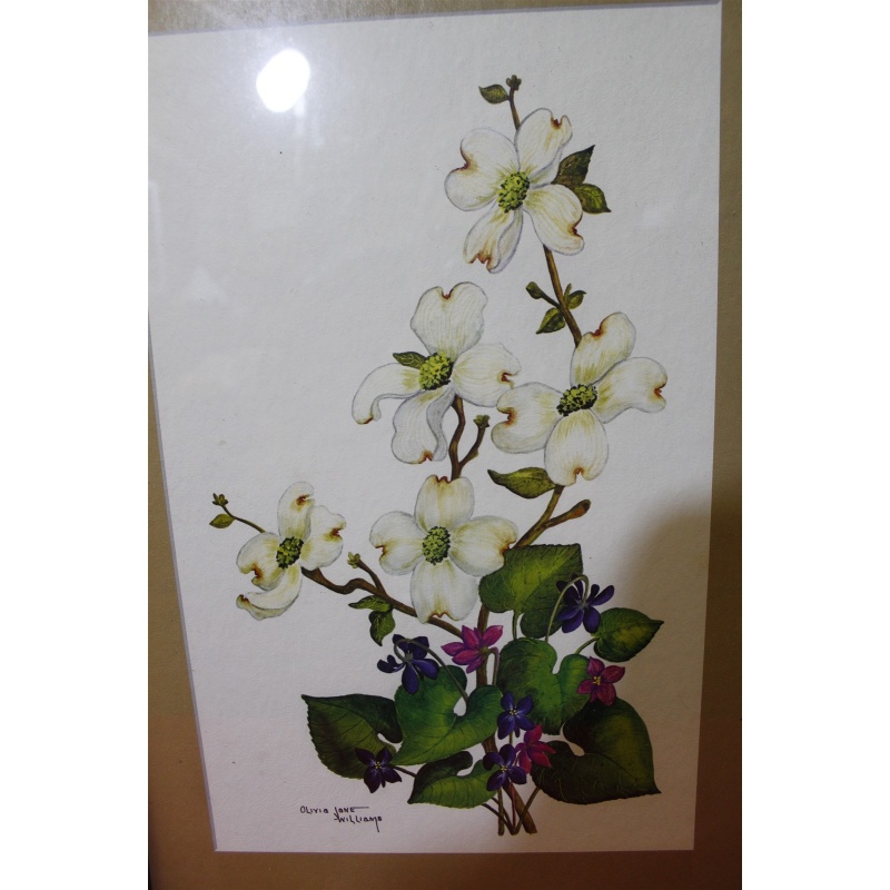 18 x 22 Framed picture signed Olivia Jane Williams