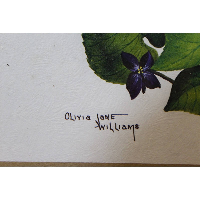 18 x 22 Framed picture signed Olivia Jane Williams