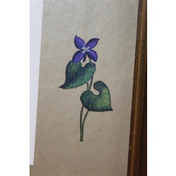 18 x 22 Framed picture signed Olivia Jane Williams