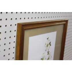 18 x 22 Framed picture signed Olivia Jane Williams