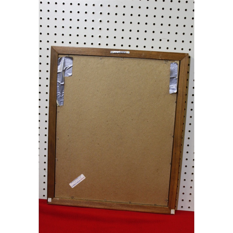 18 x 22 Framed picture signed Olivia Jane Williams