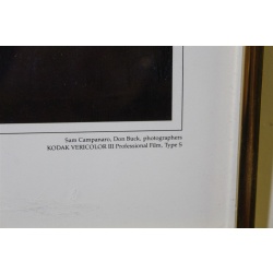 26.25 x 12.25 Framed portrait of a city Albany New York 1686 to 1986