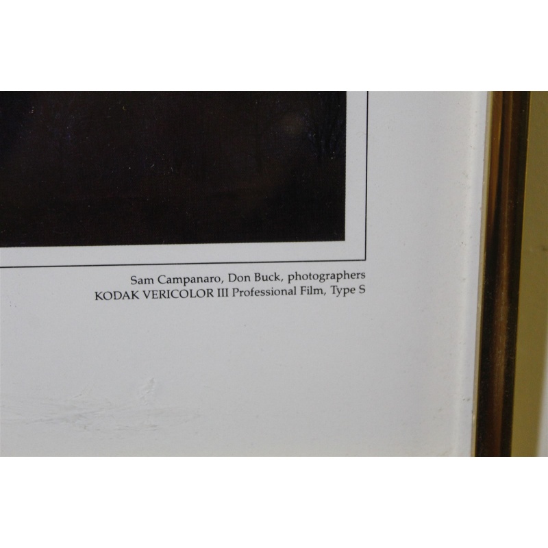 26.25 x 12.25 Framed portrait of a city Albany New York 1686 to 1986