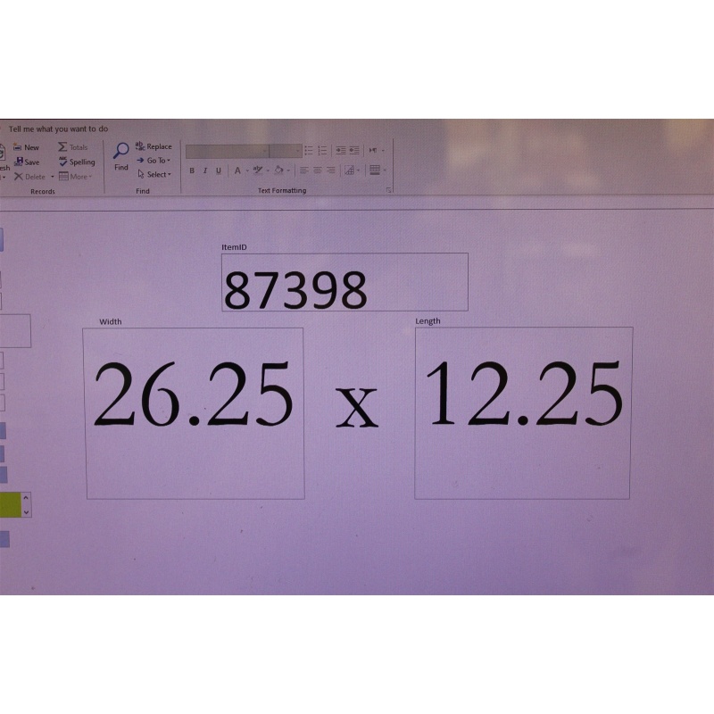 26.25 x 12.25 Framed portrait of a city Albany New York 1686 to 1986