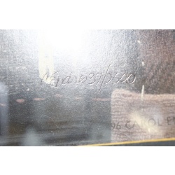 15 x 16 Framed and numbered 37/2500 1996 Carol Endres