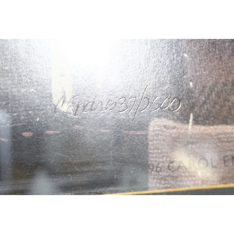 15 x 16 Framed and numbered 37/2500 1996 Carol Endres