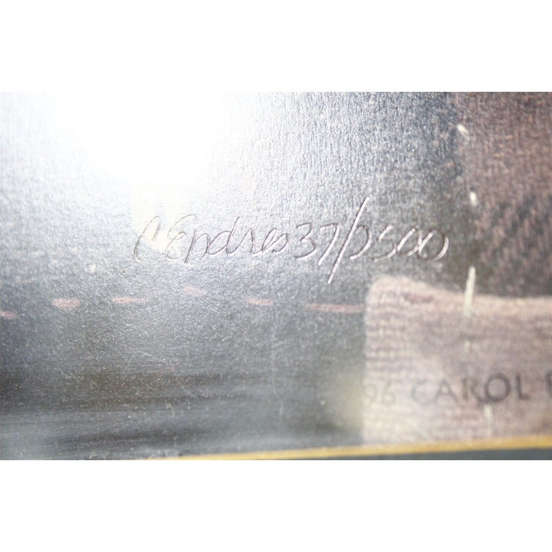 15 x 16 Framed and numbered 37/2500 1996 Carol Endres