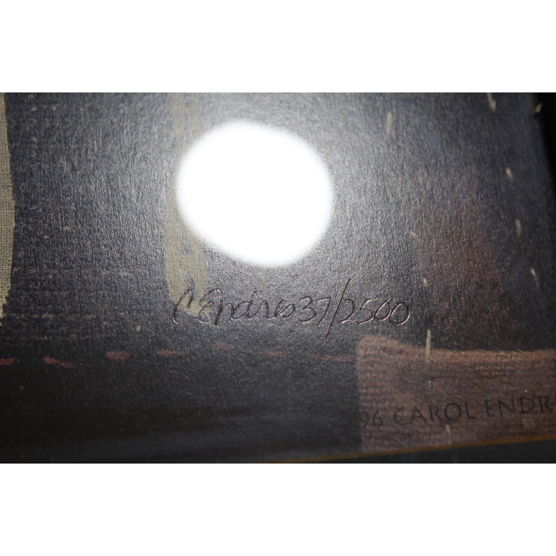 15 x 16 Framed and numbered 37/2500 1996 Carol Endres