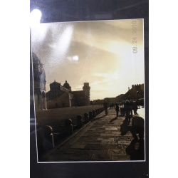 16.5 x 20.5 Framed photograph 9/24/2010