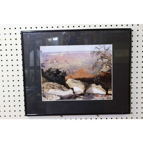 20.5 x 16.5 Framed photograph nov. 6 2006