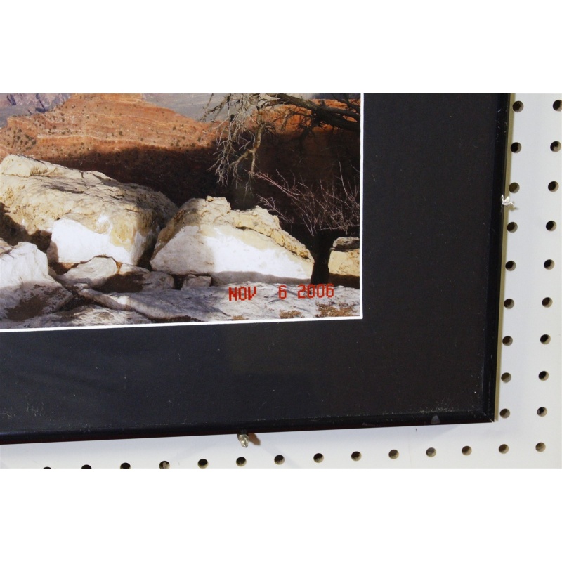 20.5 x 16.5 Framed photograph nov. 6 2006