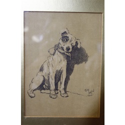 13 x 15 Framed dog picture signed Cecil Alden 1902