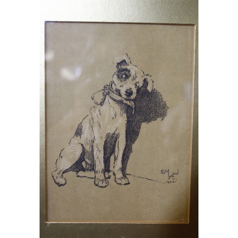 13 x 15 Framed dog picture signed Cecil Alden 1902