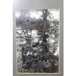 10.25 x 13.25 Framed Picture Nature Scene