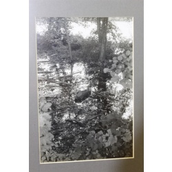 10.25 x 13.25 Framed Picture Nature Scene