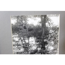 10.25 x 13.25 Framed Picture Nature Scene