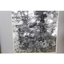 10.25 x 13.25 Framed Picture Nature Scene