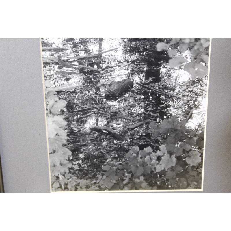 10.25 x 13.25 Framed Picture Nature Scene