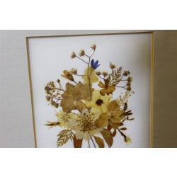 8.75 x 10.75 Framed Flower Art Graphics Fiji