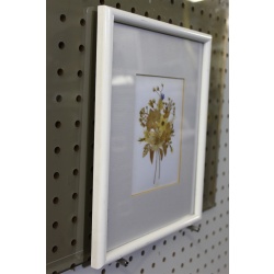 8.75 x 10.75 Framed Flower Art Graphics Fiji