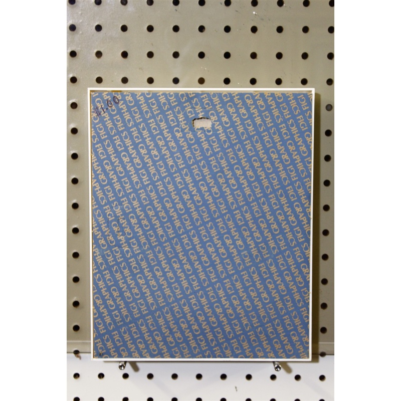 8.75 x 10.75 Framed Flower Art Graphics Fiji