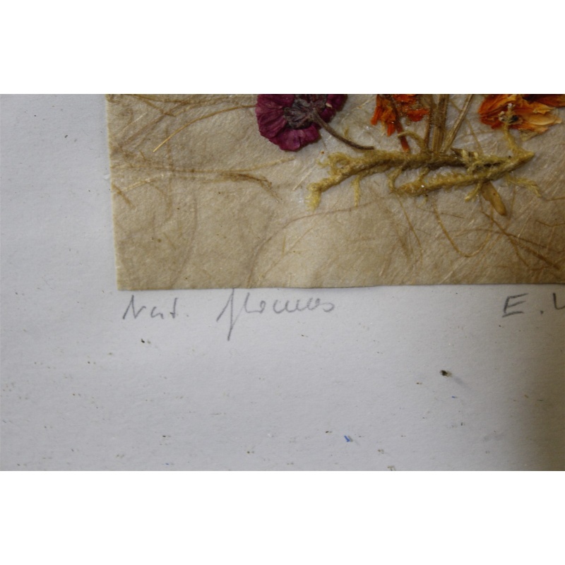 7.5 x 7.5 Framed Flower Art Signed