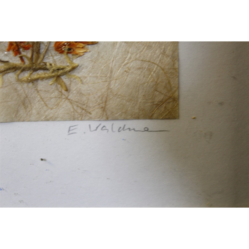 7.5 x 7.5 Framed Flower Art Signed