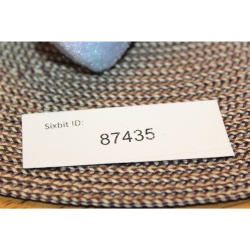 TY Beanie Babies ISSY the Four-Seasons Hotel Bear 2001 P.E. Pellets #87435