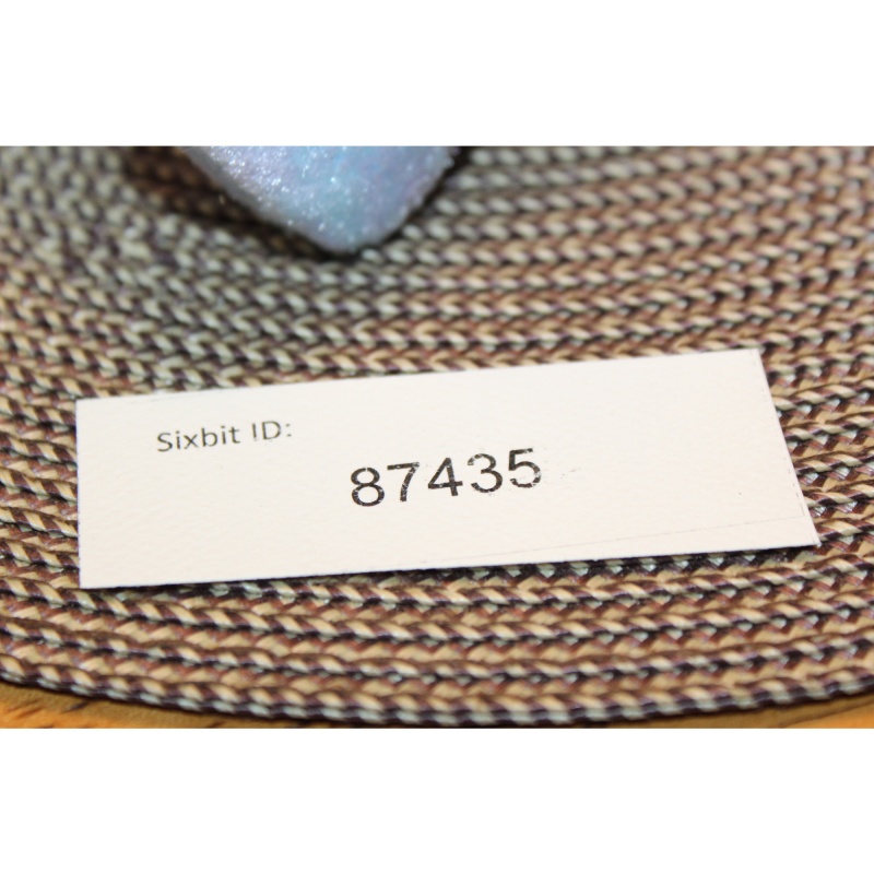 TY Beanie Babies ISSY the Four-Seasons Hotel Bear 2001 P.E. Pellets #87435