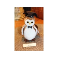 TY Beanie Babies Wisest 2000 P.E. Pellets #87437