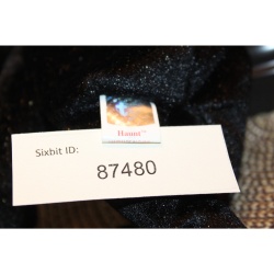 TY Beanie Babies Haunt 2001 P.E. Pellets #87480