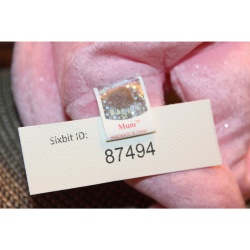 TY Beanie Babies Mum 2001 P.E. Pellets #87494