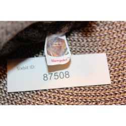 TY Beanie Babies SlowPoke 1999 P.E. Pellets #87508