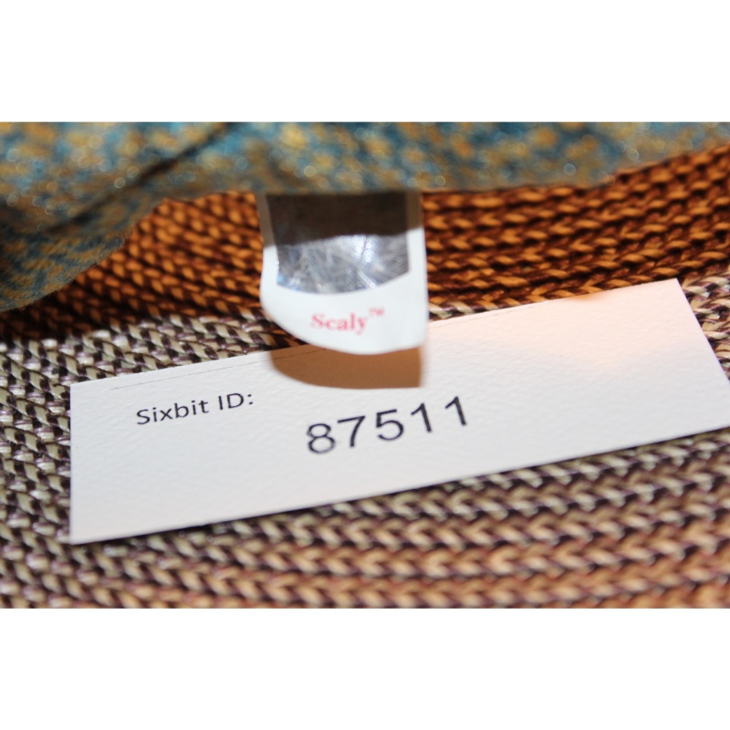 TY Beanie Babies Scaly 1999 P.E. Pellets #87511