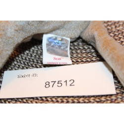 TY Beanie Babies Scat 1999 P.E. Pellets #87512