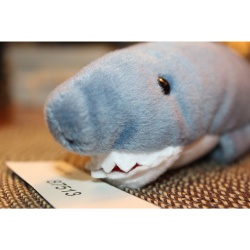 TY Beanie Babies Crunch 1996 P.E. Pellets #87513