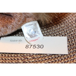 TY Beanie Babies Chipper 1999 P.E. Pellets #87530