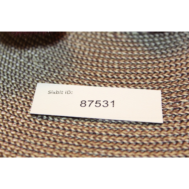 TY Beanie Babies Beargundy 1993  #87531