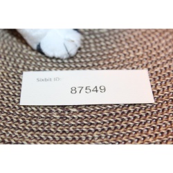 TY Beanie Babies Rescue 2001 P.E. Pellets #87549