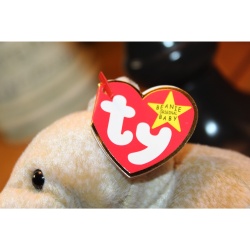 TY Beanie Babies Almond 1999 P.E. Pellets #87553