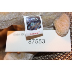 TY Beanie Babies Almond 1999 P.E. Pellets #87553