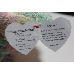 TY Beanie Babies Groovy 1999 P.E. Pellets #87554