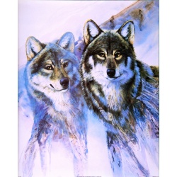 (16 x 20) Art Print PP2367 Cindy Markowski - Wolves