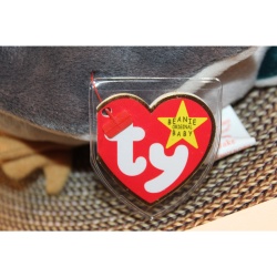 TY Beanie Babies Jake 1998 P.E. Pellets #87570