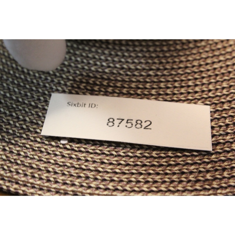 TY Beanie Babies Mystic 1993 P.E. Pellets #87582