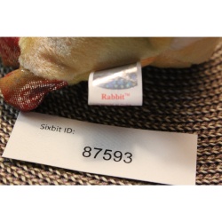 TY Beanie Babies Rabbit 2000 P.E. Pellets #87593