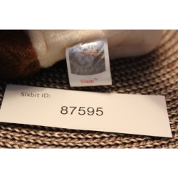 TY Beanie Babies Siam 2001 P.E. Pellets #87595