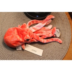 TY Beanie Babies Wiggly 2000 P.E. Pellets #87602