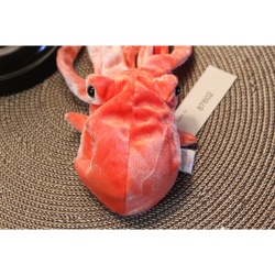 TY Beanie Babies Wiggly 2000 P.E. Pellets #87602